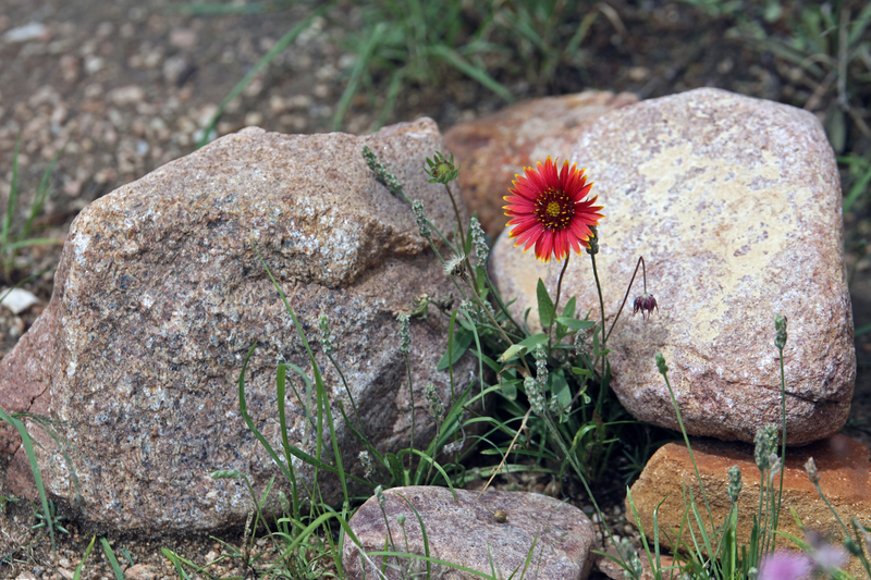Illustration for article titled Enchanted Rock